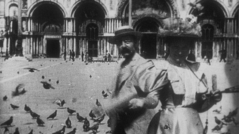 Pigeons sur la place Saint-Marc image