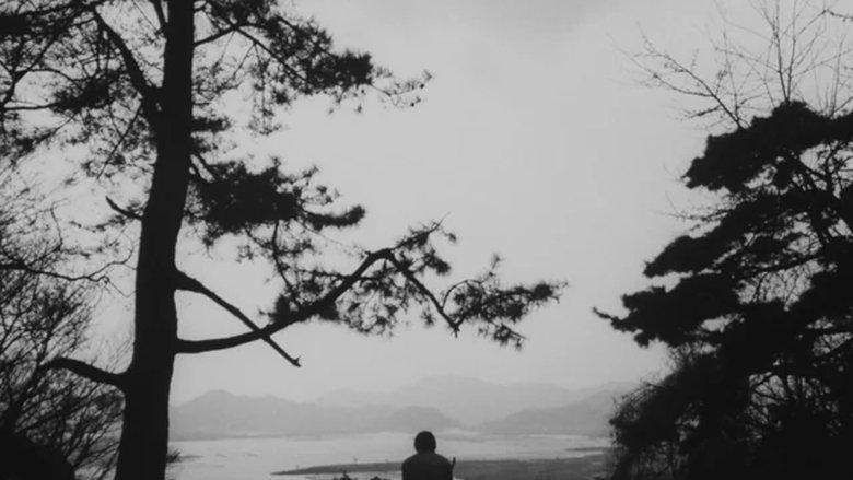 This Transient Life image
