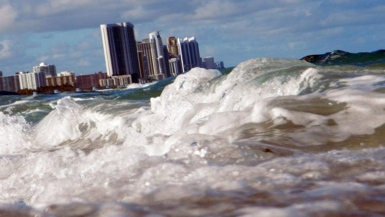 Oceans Rising image