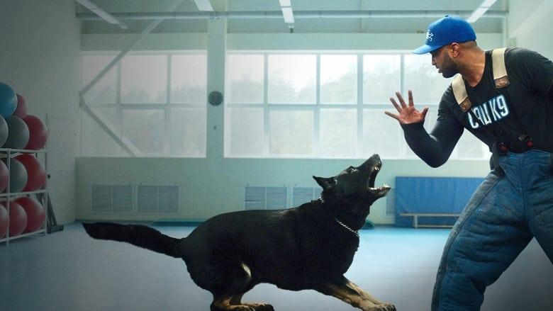 Canine Intervention image