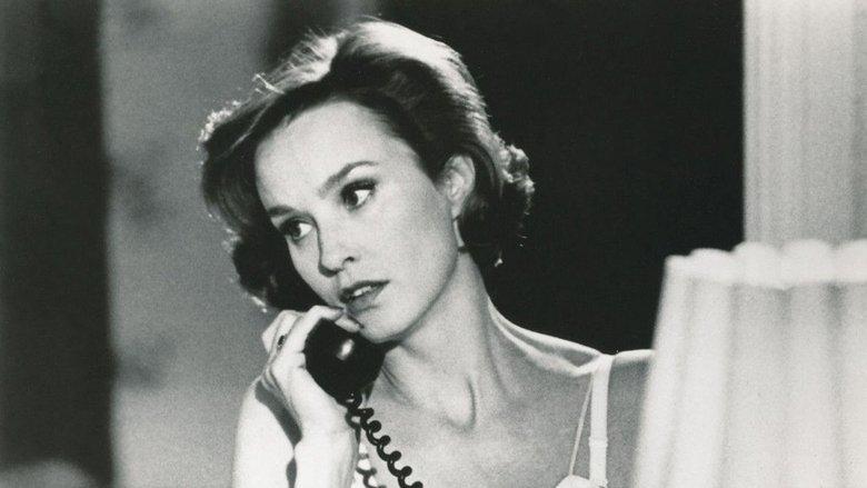 Cat on a Hot Tin Roof image