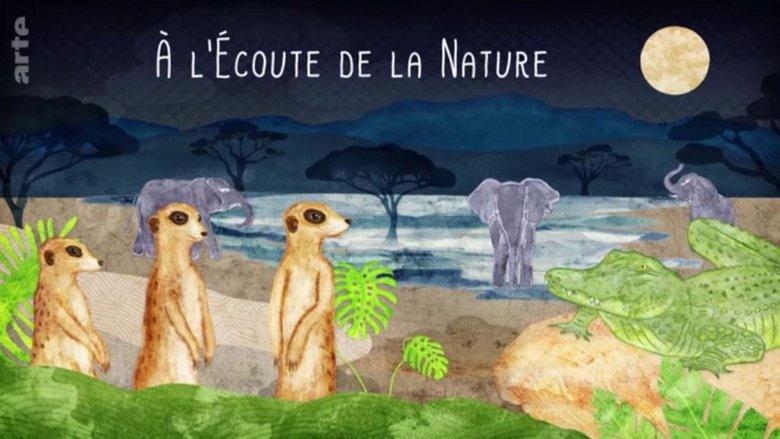À l’écoute de la nature image