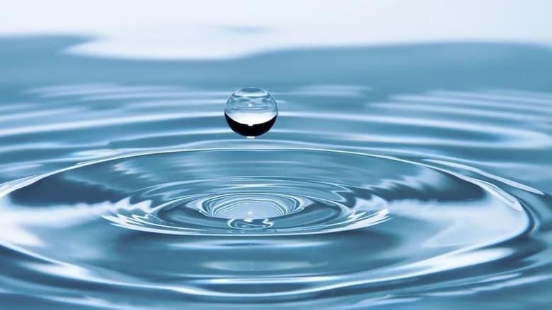 Lords of Water image