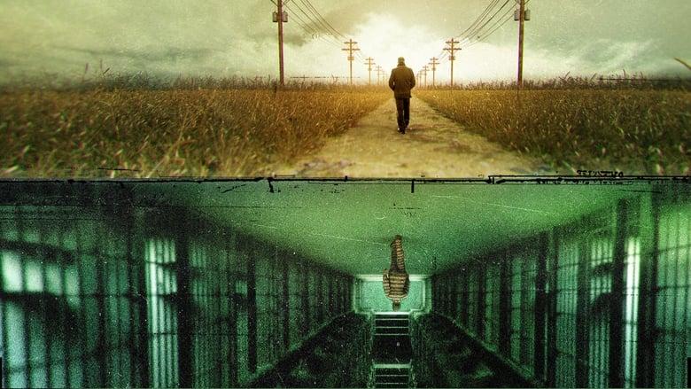 The Innocence Files image