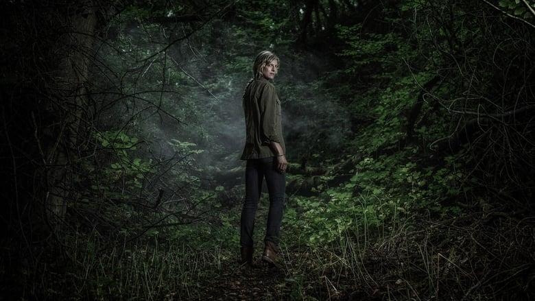 The Forest image