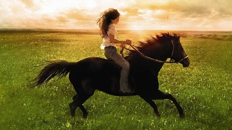 Flicka image