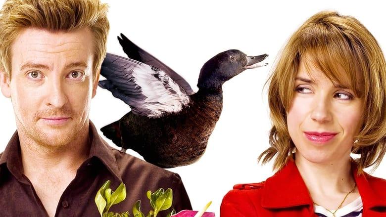 Love Birds image