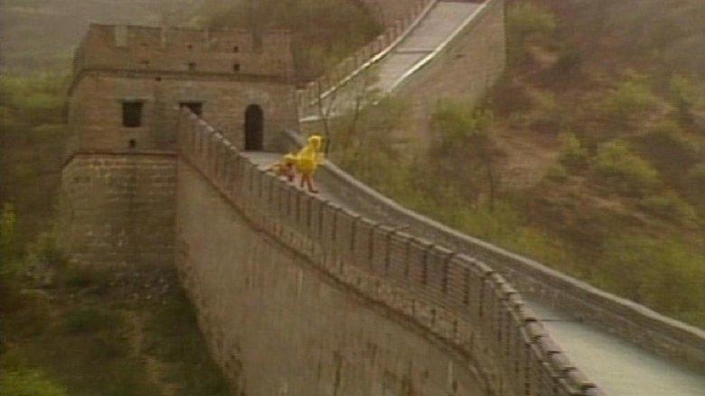 Big Bird in China image