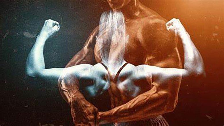 Killer Bods image