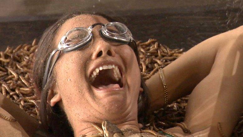Fear Factor image