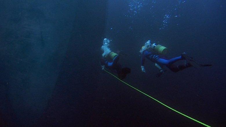 Sea Monkey image