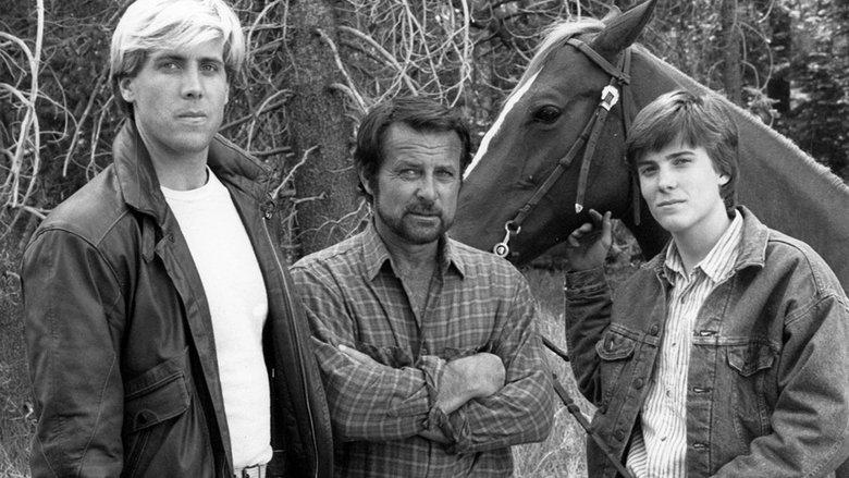 High Mountain Rangers image