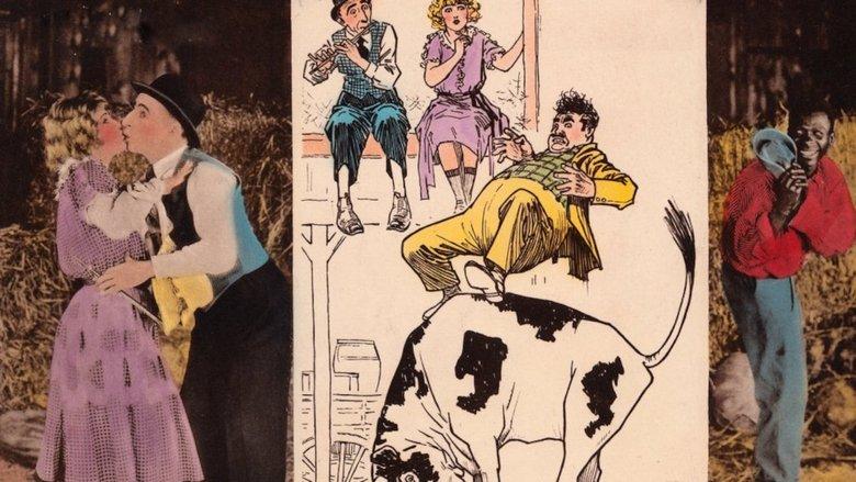 The Barnyard image