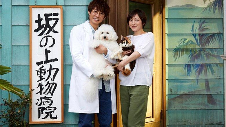Sakanoue Animal Clinic Story image