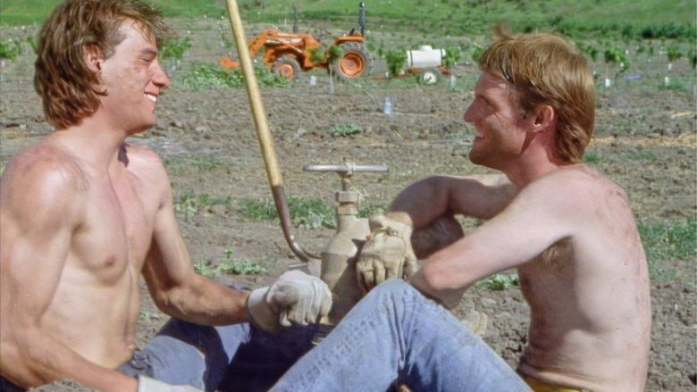 Clay Farmers image