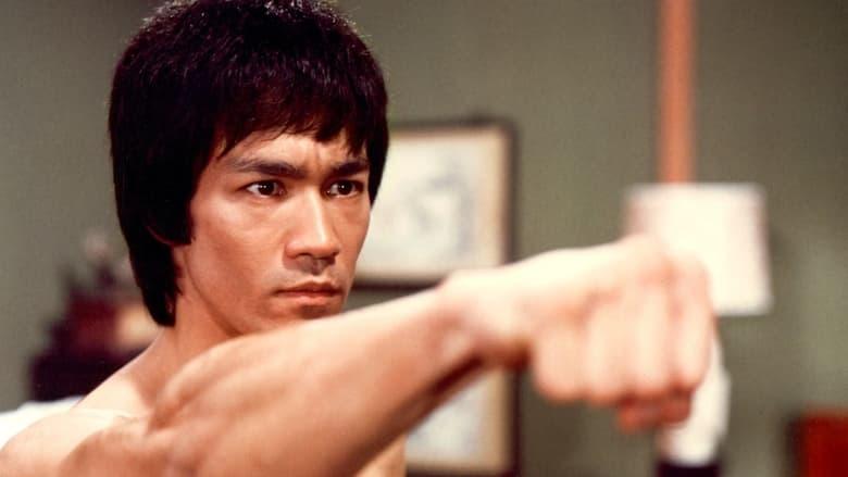 Bruce Lee: The Immortal Dragon image