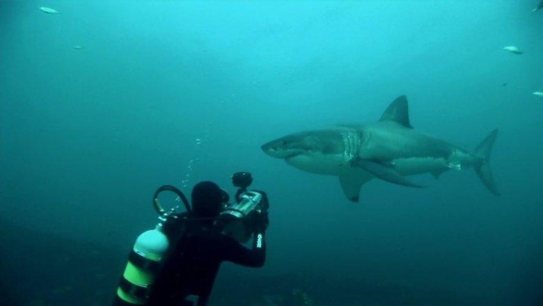 Great White Shark: A Living Legend image