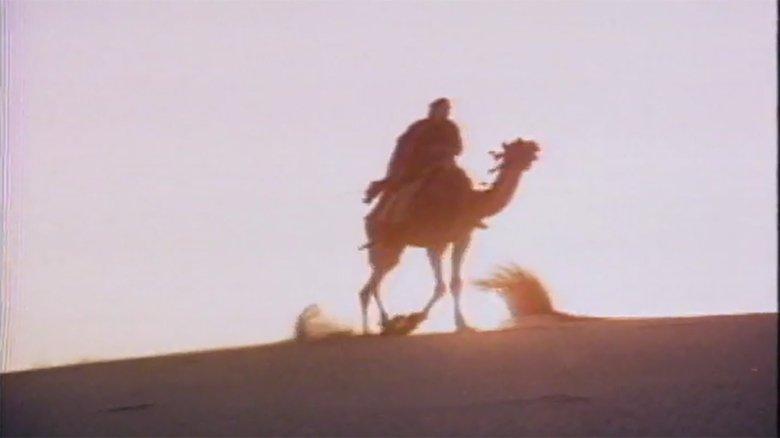 Moses the Lawgiver image