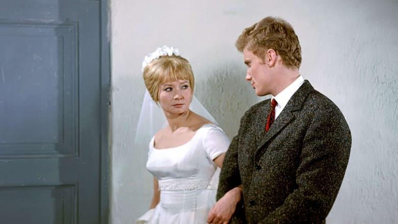 The Marriage of Convenience image