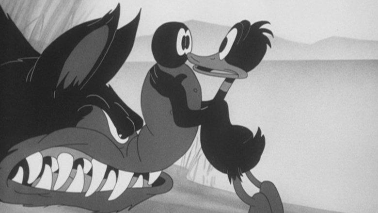 A Coy Decoy image
