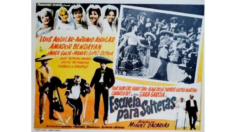Escuela para solteras image