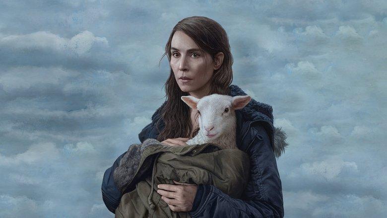 Lamb image