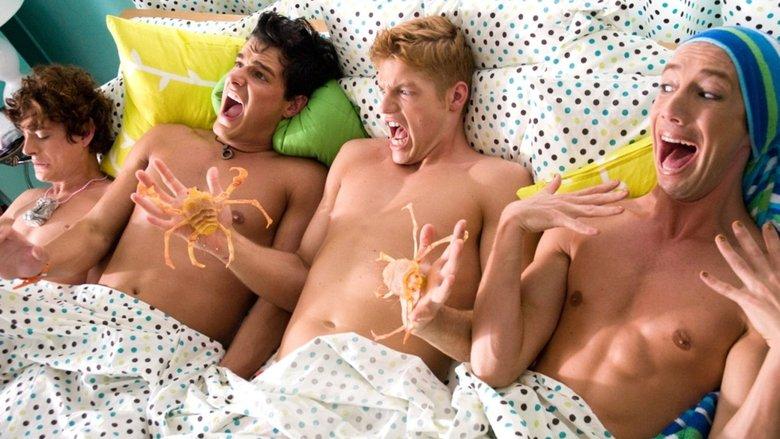 Another Gay Sequel: Gays Gone Wild! image