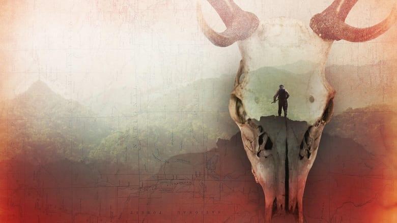 Missing 411: The Hunted image