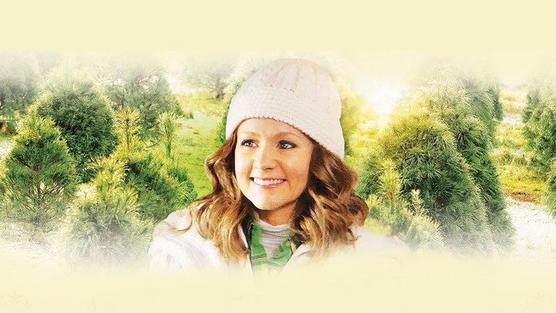 An Evergreen Christmas image