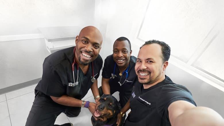 The Vet Life image