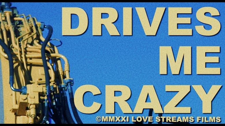 Drives Me Crazy image