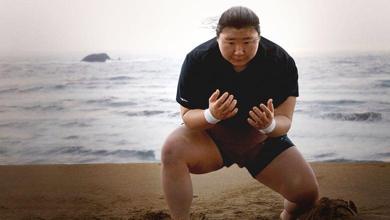 Little Miss Sumo image
