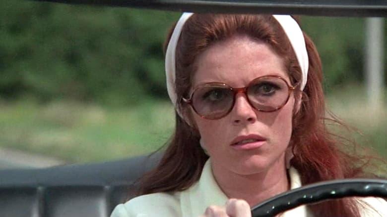 The Lady in the Car with Glasses and a Gun image
