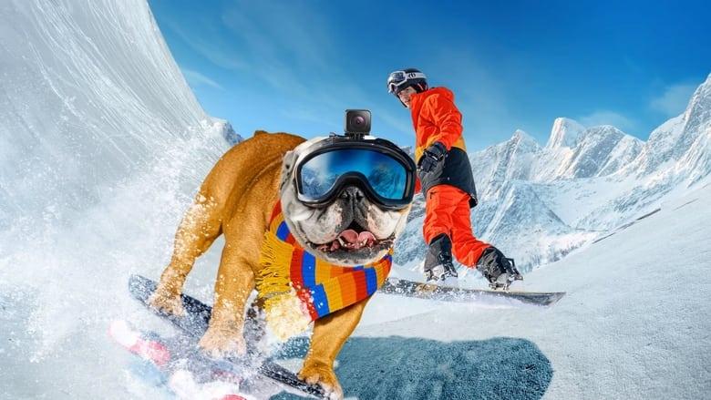 Powder Pup image