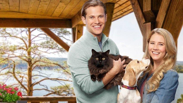 Like Cats & Dogs image