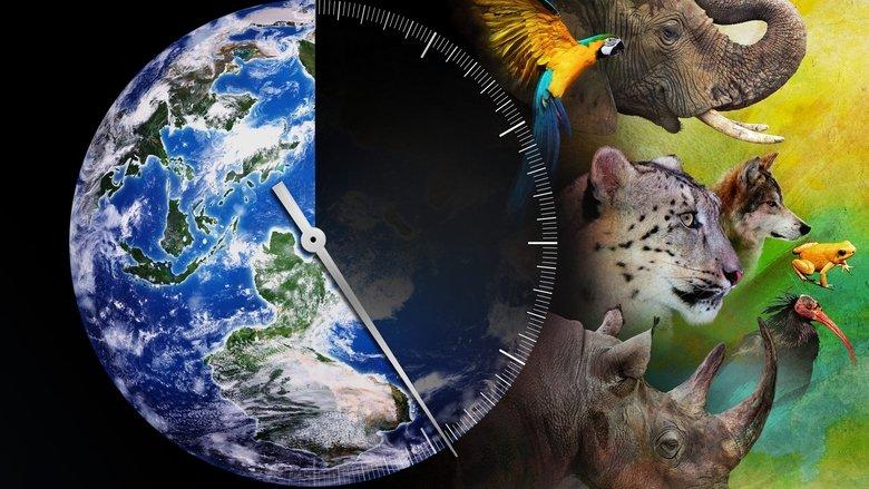 Racing Extinction image