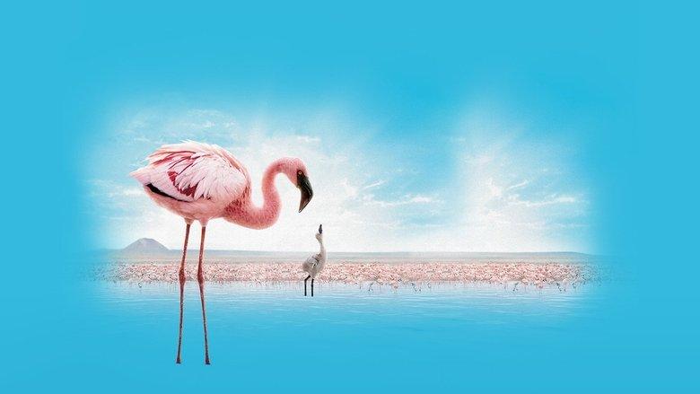 The Crimson Wing: Mystery of the Flamingos image