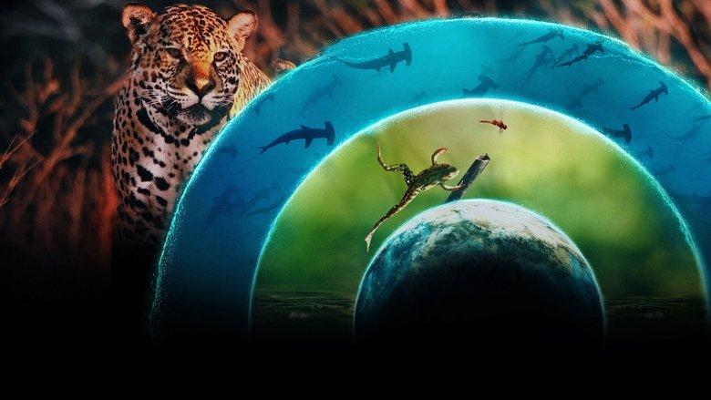 Our Living World image