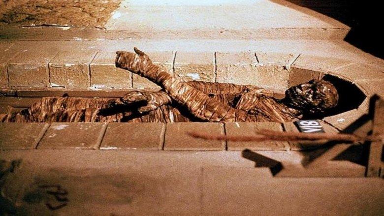 Dawn of the Mummy image