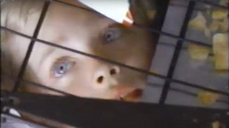 The Innocent image
