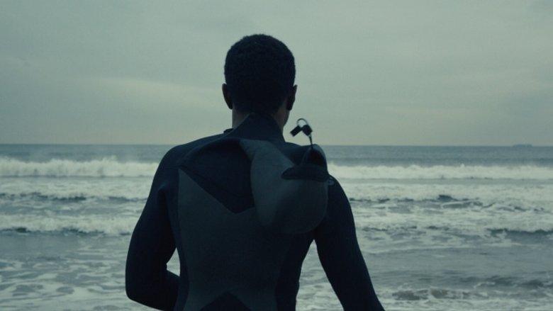 The Surf Report image