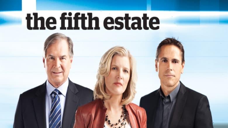 The Fifth Estate image