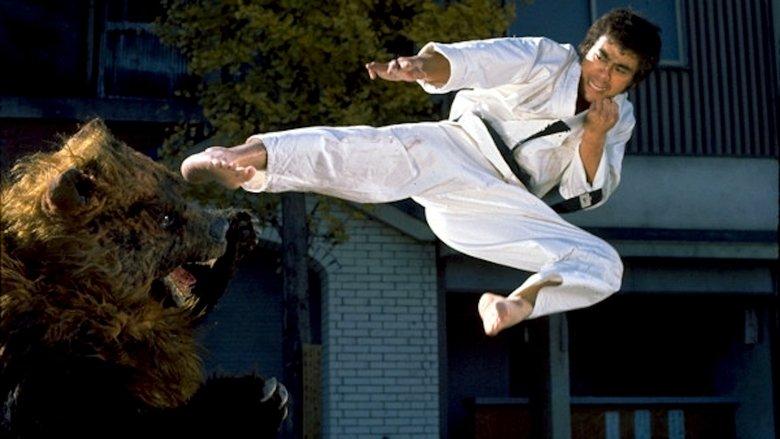 Karate Bear Fighter image