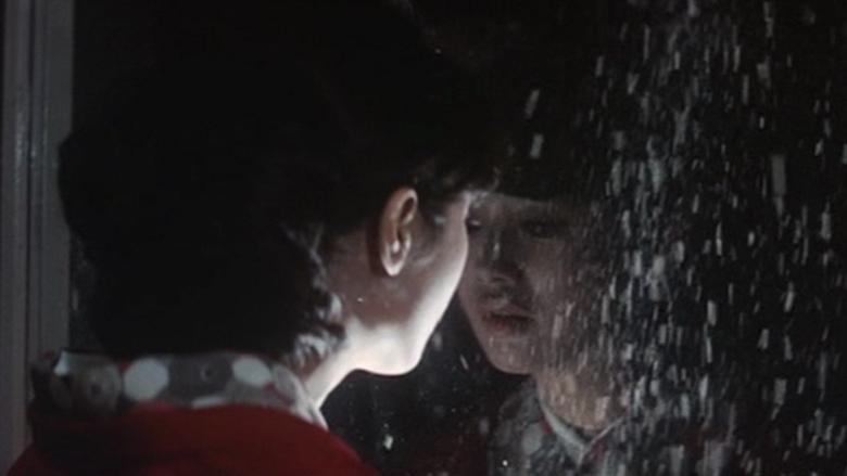 With Beauty and Sorrow image