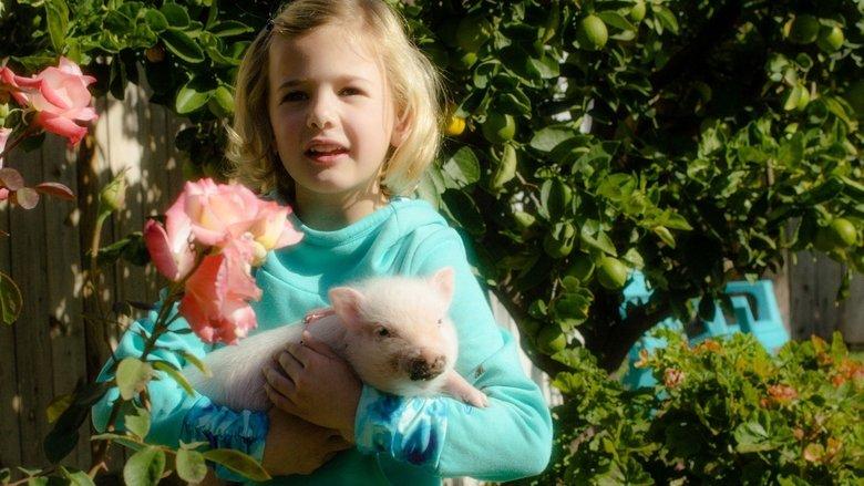 Arlo: The Burping Pig image