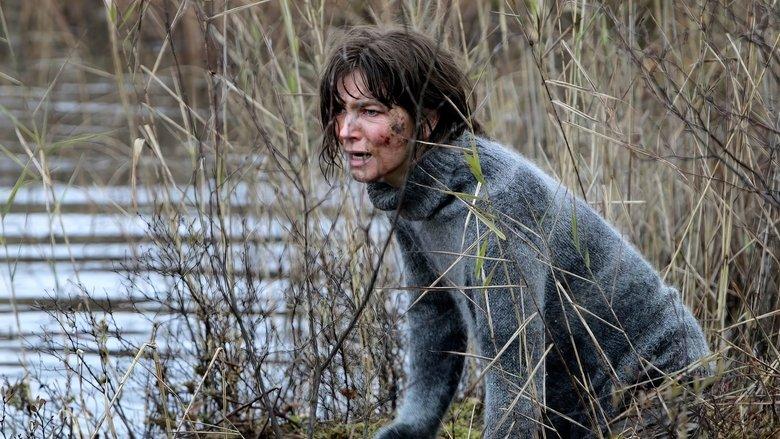 Irene Huss 8: Det lömska nätet image