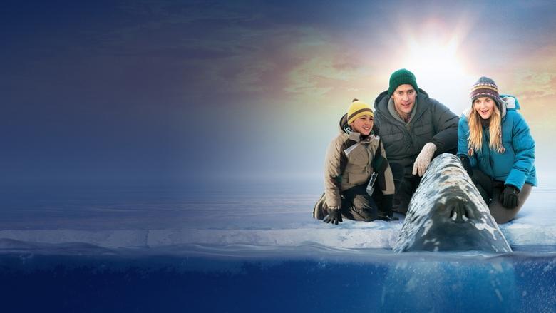 Big Miracle image