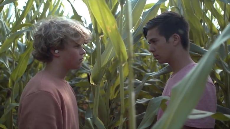 Desire: The Short Films of Ohm image