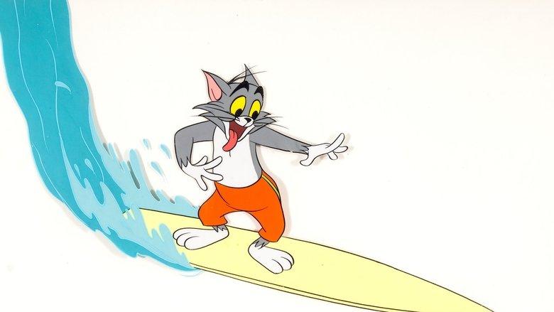 Surf-Bored Cat image