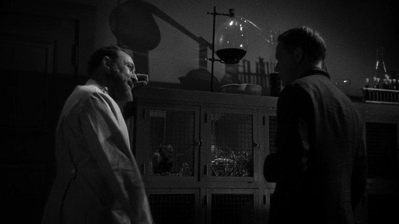 The Mad Doctor of Market Street image